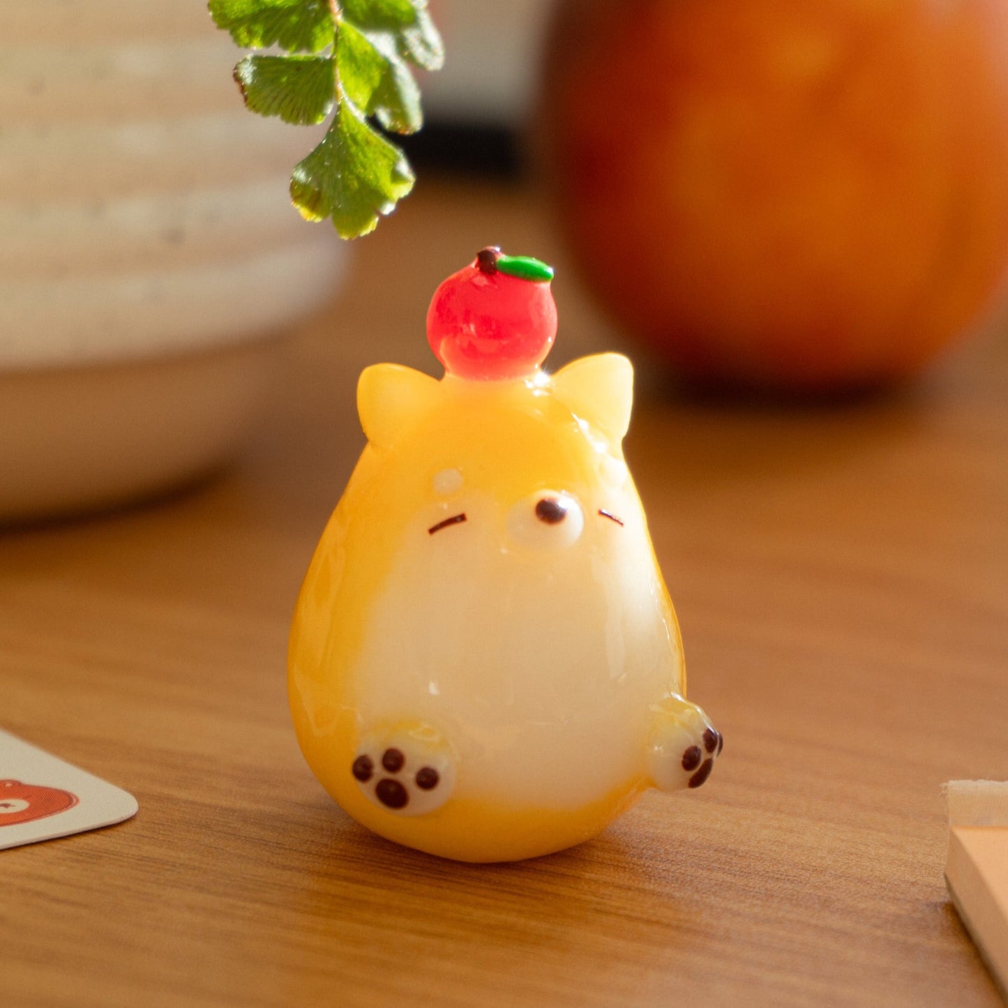 Ringo the Shiba Inu