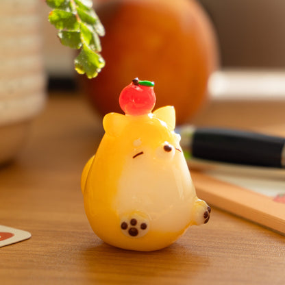 Ringo the Shiba Inu